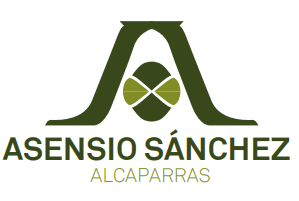 Asensio Sánchez
